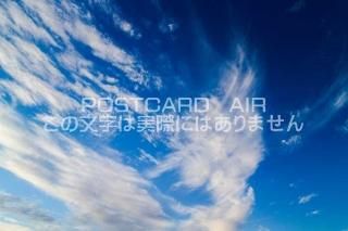 <img class='new_mark_img1' src='https://img.shop-pro.jp/img/new/icons1.gif' style='border:none;display:inline;margin:0px;padding:0px;width:auto;' />ڼΥݥȥAIRĶȱսϥϤ photo by MIRO