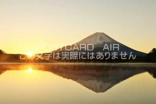 <img class='new_mark_img1' src='https://img.shop-pro.jp/img/new/icons1.gif' style='border:none;display:inline;margin:0px;padding:0px;width:auto;' />ܤʥݥȥɡ θФٻλΤϤϥս  /YOSHIO IWASAWA
