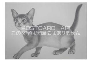 <img class='new_mark_img1' src='https://img.shop-pro.jp/img/new/icons1.gif' style='border:none;display:inline;margin:0px;padding:0px;width:auto;' />ڱɮ饹ȥݥȥɡ⤯ǭΥ饹ȡ̲-Ϥսpostcard-