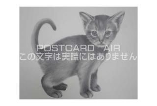 <img class='new_mark_img1' src='https://img.shop-pro.jp/img/new/icons1.gif' style='border:none;display:inline;margin:0px;padding:0px;width:auto;' />ڱɮ饹ȥݥȥɡۻǭΥ饹ȡ̲-Ϥսpostcard-