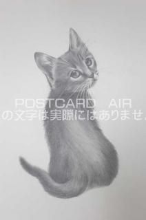 <img class='new_mark_img1' src='https://img.shop-pro.jp/img/new/icons1.gif' style='border:none;display:inline;margin:0px;padding:0px;width:auto;' />ڱɮ饹ȥݥȥɡۿ֤ǭΥ饹ȡ̲-Ϥսpostcard-