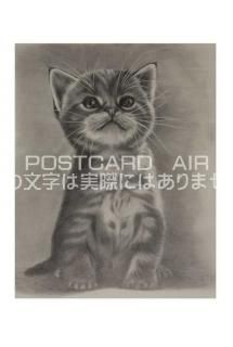 <img class='new_mark_img1' src='https://img.shop-pro.jp/img/new/icons1.gif' style='border:none;display:inline;margin:0px;padding:0px;width:auto;' />ڱɮ饹ȥݥȥɡۥޥǭΥ饹ȡ̲-Ϥսpostcard-