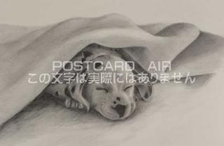 <img class='new_mark_img1' src='https://img.shop-pro.jp/img/new/icons1.gif' style='border:none;display:inline;margin:0px;padding:0px;width:auto;' />ڱɮ饹ȥݥȥɡĤθΥ饹ȡ̲-Ϥսpostcard-