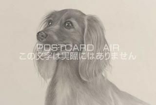 <img class='new_mark_img1' src='https://img.shop-pro.jp/img/new/icons1.gif' style='border:none;display:inline;margin:0px;padding:0px;width:auto;' />ڱɮ饹ȥݥȥɡ۸Υ饹ȡ̲-Ϥսpostcard-