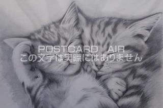 <img class='new_mark_img1' src='https://img.shop-pro.jp/img/new/icons1.gif' style='border:none;display:inline;margin:0px;padding:0px;width:auto;' />ڱɮ饹ȥݥȥɡɤλǭΥ饹ȡ̲-Ϥսpostcard-