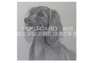 <img class='new_mark_img1' src='https://img.shop-pro.jp/img/new/icons1.gif' style='border:none;display:inline;margin:0px;padding:0px;width:auto;' />ڱɮ饹ȥݥȥɡ۸Υ饹ȡ̲-Ϥսpostcard-