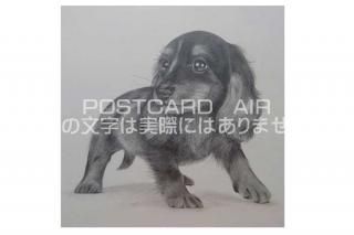 <img class='new_mark_img1' src='https://img.shop-pro.jp/img/new/icons1.gif' style='border:none;display:inline;margin:0px;padding:0px;width:auto;' />ڱɮ饹ȥݥȥɡ۸Υ饹ȡ̲-Ϥսpostcard-