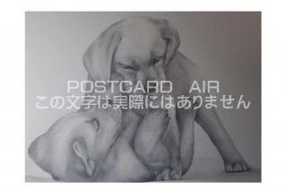 <img class='new_mark_img1' src='https://img.shop-pro.jp/img/new/icons1.gif' style='border:none;display:inline;margin:0px;padding:0px;width:auto;' />ڱɮ饹ȥݥȥɡɤθΥ饹ȡ̲-Ϥսpostcard-