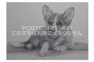 <img class='new_mark_img1' src='https://img.shop-pro.jp/img/new/icons1.gif' style='border:none;display:inline;margin:0px;padding:0px;width:auto;' />ڱɮ饹ȥݥȥɡۥΥ饹ȡ̲-Ϥսpostcard-