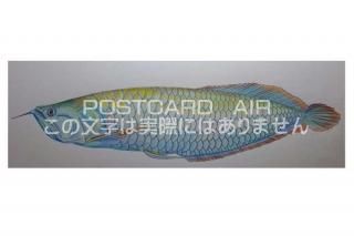 <img class='new_mark_img1' src='https://img.shop-pro.jp/img/new/icons1.gif' style='border:none;display:inline;margin:0px;padding:0px;width:auto;' />ڱɮ饹ȥݥȥɡ۵Υ饹ȡ̲-Ϥսpostcard-