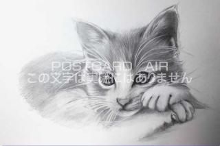 <img class='new_mark_img1' src='https://img.shop-pro.jp/img/new/icons1.gif' style='border:none;display:inline;margin:0px;padding:0px;width:auto;' />ڱɮ饹ȥݥȥɡǭΥ饹ȡ̲-Ϥսpostcard-