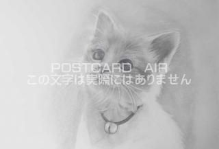 <img class='new_mark_img1' src='https://img.shop-pro.jp/img/new/icons1.gif' style='border:none;display:inline;margin:0px;padding:0px;width:auto;' />ڱɮ饹ȥݥȥɡǭΥ饹ȡ̲-Ϥսpostcard-