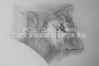 <img class='new_mark_img1' src='https://img.shop-pro.jp/img/new/icons1.gif' style='border:none;display:inline;margin:0px;padding:0px;width:auto;' />ڱɮ饹ȥݥȥɡۿƤǭΥ饹ȡ̲-Ϥսpostcard-