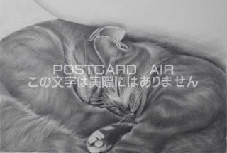 <img class='new_mark_img1' src='https://img.shop-pro.jp/img/new/icons1.gif' style='border:none;display:inline;margin:0px;padding:0px;width:auto;' />ڱɮ饹ȥݥȥɡɤǭΥ饹ȡ̲-Ϥսpostcard-