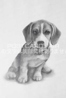 <img class='new_mark_img1' src='https://img.shop-pro.jp/img/new/icons1.gif' style='border:none;display:inline;margin:0px;padding:0px;width:auto;' />ڱɮ饹ȥݥȥɡۤ򸫤븤̲-Ϥսpostcard-