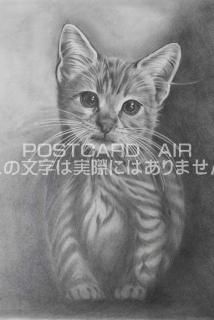 <img class='new_mark_img1' src='https://img.shop-pro.jp/img/new/icons1.gif' style='border:none;display:inline;margin:0px;padding:0px;width:auto;' />ڱɮ饹ȥݥȥɡۤ򸫤ǭ̲-Ϥսpostcard-