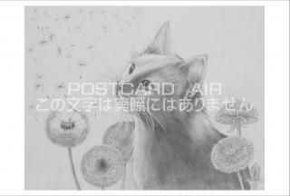 <img class='new_mark_img1' src='https://img.shop-pro.jp/img/new/icons1.gif' style='border:none;display:inline;margin:0px;padding:0px;width:auto;' />ڱɮ饹ȥݥȥɡۥݥݤȥޡȤǭγ̲-Ϥսpostcard-