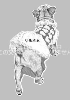 <img class='new_mark_img1' src='https://img.shop-pro.jp/img/new/icons1.gif' style='border:none;display:inline;margin:0px;padding:0px;width:auto;' />ڸΥ饹ȥݥȥɡۥե֥ɥåCherieθ-Ϥսpostcard-̲