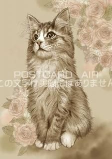 <img class='new_mark_img1' src='https://img.shop-pro.jp/img/new/icons1.gif' style='border:none;display:inline;margin:0px;padding:0px;width:auto;' />ǭΥ饹ȥݥȥɡۺ¤äǭ-Ϥսpostcard-̲