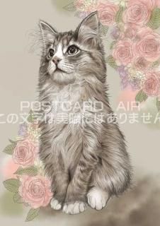 <img class='new_mark_img1' src='https://img.shop-pro.jp/img/new/icons1.gif' style='border:none;display:inline;margin:0px;padding:0px;width:auto;' />ǭΥ饹ȥݥȥɡۺ¤äǭ-Ϥսpostcard-̲