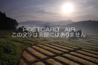<img class='new_mark_img1' src='https://img.shop-pro.jp/img/new/icons1.gif' style='border:none;display:inline;margin:0px;padding:0px;width:auto;' />ɸ ˻ԡĤΤΤΥݥȥսϤPhotoby.com