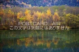 <img class='new_mark_img1' src='https://img.shop-pro.jp/img/new/icons1.gif' style='border:none;display:inline;margin:0px;padding:0px;width:auto;' />Ĺ ܻ ϡӤΥݥȥսϤPhotoby.com