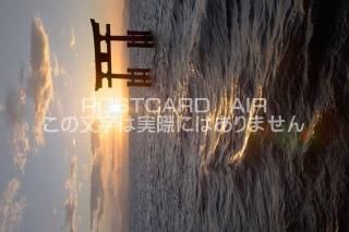 <img class='new_mark_img1' src='https://img.shop-pro.jp/img/new/icons1.gif' style='border:none;display:inline;margin:0px;padding:0px;width:auto;' />츩  ɦҡɦҤνФΥݥȥսϤPhotoby.com