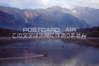 <img class='new_mark_img1' src='https://img.shop-pro.jp/img/new/icons1.gif' style='border:none;display:inline;margin:0px;padding:0px;width:auto;' />Ĺ ܻ ϽӤΥݥȥսϤPhotoby.com