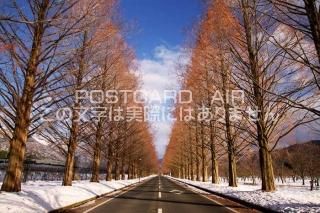<img class='new_mark_img1' src='https://img.shop-pro.jp/img/new/icons1.gif' style='border:none;display:inline;margin:0px;padding:0px;width:auto;' />츩 Υޥ ᥿ڤΥݥȥսϤPhotoby.com