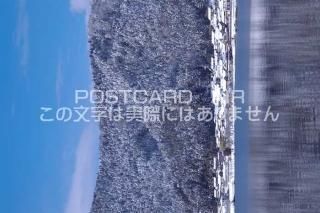 <img class='new_mark_img1' src='https://img.shop-pro.jp/img/new/icons1.gif' style='border:none;display:inline;margin:0px;padding:0px;width:auto;' />츩 ;Įߤ;ФΥݥȥսϤPhotoby.com