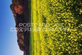<img class='new_mark_img1' src='https://img.shop-pro.jp/img/new/icons1.gif' style='border:none;display:inline;margin:0px;padding:0px;width:auto;' />Ų ƦĮڤβȪΥݥȥսϤPhotoby.com