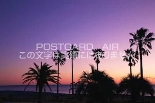 <img class='new_mark_img1' src='https://img.shop-pro.jp/img/new/icons1.gif' style='border:none;display:inline;margin:0px;padding:0px;width:auto;' />Ÿ ̶ϬĮΤͤΥݥȥսϤPhotoby.com