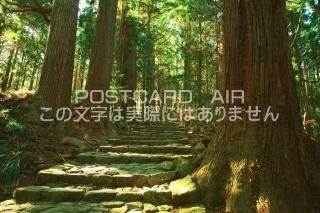 <img class='new_mark_img1' src='https://img.shop-pro.jp/img/new/icons1.gif' style='border:none;display:inline;margin:0px;padding:0px;width:auto;' />²λ̶ϬҾĮƻ ΥݥȥսϤPhotoby.com