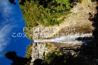 <img class='new_mark_img1' src='https://img.shop-pro.jp/img/new/icons1.gif' style='border:none;display:inline;margin:0px;padding:0px;width:auto;' />²λ̶ϬҾĮҤΥݥȥսϤPhotoby.com