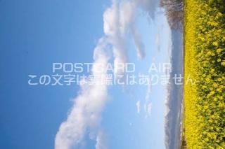 <img class='new_mark_img1' src='https://img.shop-pro.jp/img/new/icons1.gif' style='border:none;display:inline;margin:0px;padding:0px;width:auto;' />츩 黳ԡڤβȪɻΥݥȥսϤPhotoby.com