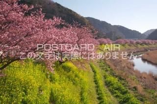 <img class='new_mark_img1' src='https://img.shop-pro.jp/img/new/icons1.gif' style='border:none;display:inline;margin:0px;padding:0px;width:auto;' />Ų ƦĮߤʤߤκΥݥȥսϤPhotoby.com