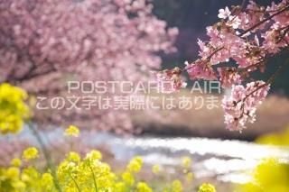 <img class='new_mark_img1' src='https://img.shop-pro.jp/img/new/icons1.gif' style='border:none;display:inline;margin:0px;padding:0px;width:auto;' />Ų ƦĮȲźΥݥȥսϤPhotoby.com