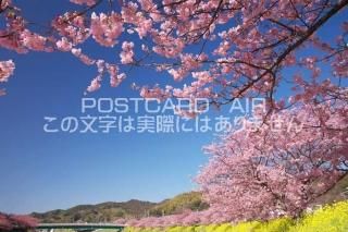 <img class='new_mark_img1' src='https://img.shop-pro.jp/img/new/icons1.gif' style='border:none;display:inline;margin:0px;padding:0px;width:auto;' />Ų ƦĮߤʤߤκΥݥȥսϤPhotoby.com