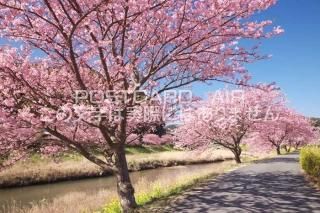 <img class='new_mark_img1' src='https://img.shop-pro.jp/img/new/icons1.gif' style='border:none;display:inline;margin:0px;padding:0px;width:auto;' />Ų ƦĮߤʤߤκΥݥȥսϤPhotoby.com