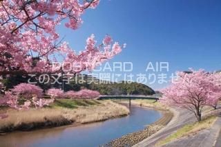 <img class='new_mark_img1' src='https://img.shop-pro.jp/img/new/icons1.gif' style='border:none;display:inline;margin:0px;padding:0px;width:auto;' />Ų ƦĮȲźΥݥȥսϤPhotoby.com