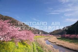 <img class='new_mark_img1' src='https://img.shop-pro.jp/img/new/icons1.gif' style='border:none;display:inline;margin:0px;padding:0px;width:auto;' />Ų ƦĮߤʤߤκΥݥȥսϤPhotoby.com