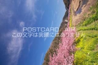<img class='new_mark_img1' src='https://img.shop-pro.jp/img/new/icons1.gif' style='border:none;display:inline;margin:0px;padding:0px;width:auto;' />Ų ƦĮߤʤߤκΥݥȥսϤPhotoby.com