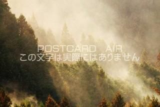 <img class='new_mark_img1' src='https://img.shop-pro.jp/img/new/icons1.gif' style='border:none;display:inline;margin:0px;padding:0px;width:auto;' />ɸ ĮʴΥݥȥսϤPhotoby.com