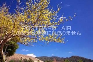 <img class='new_mark_img1' src='https://img.shop-pro.jp/img/new/icons1.gif' style='border:none;display:inline;margin:0px;padding:0px;width:auto;' />ɸ ɻԡ󥷥ΥݥȥսϤPhotoby.com