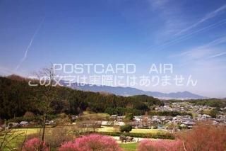 <img class='new_mark_img1' src='https://img.shop-pro.jp/img/new/icons1.gif' style='border:none;display:inline;margin:0px;padding:0px;width:auto;' />ɸ ¼դʯΥݥȥսϤPhotoby.com
