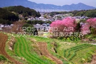 <img class='new_mark_img1' src='https://img.shop-pro.jp/img/new/icons1.gif' style='border:none;display:inline;margin:0px;padding:0px;width:auto;' />ɸ ¼դ¼ΥݥȥսϤPhotoby.com
