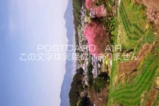 <img class='new_mark_img1' src='https://img.shop-pro.jp/img/new/icons1.gif' style='border:none;display:inline;margin:0px;padding:0px;width:auto;' />ɸ ¼դ¼ΥݥȥսϤPhotoby.com