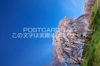 <img class='new_mark_img1' src='https://img.shop-pro.jp/img/new/icons1.gif' style='border:none;display:inline;margin:0px;padding:0px;width:auto;' />θ ܻԡĶȺΥݥȥսϤPhotoby.com