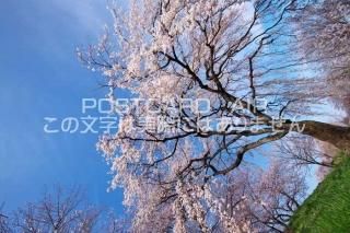 <img class='new_mark_img1' src='https://img.shop-pro.jp/img/new/icons1.gif' style='border:none;display:inline;margin:0px;padding:0px;width:auto;' />θ ܻԡĤ뤷ΥݥȥսϤPhotoby.com