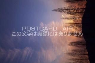 <img class='new_mark_img1' src='https://img.shop-pro.jp/img/new/icons1.gif' style='border:none;display:inline;margin:0px;padding:0px;width:auto;' />Ÿ 뼯ԡ᥿ڤͼʤΥݥȥսϤPhotoby.com